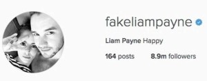 liam-payne-cheryl-cole-instagram-screenshot