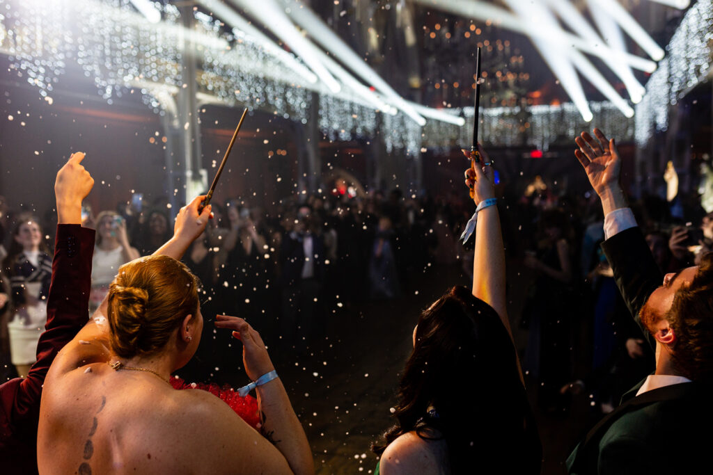 Harry Potter: Um Grande Baile Tribruxo © Divulgação